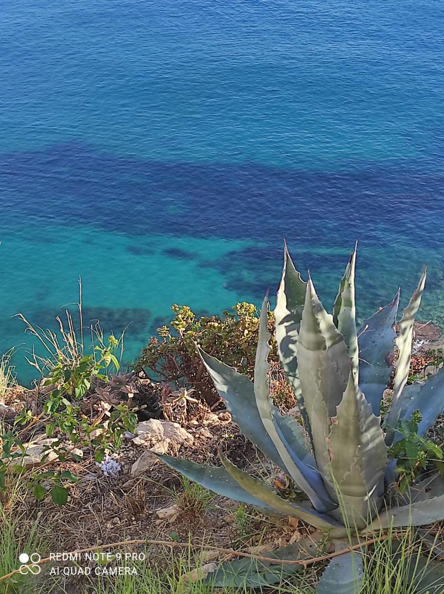 L'Aunisa Villa El Campello Bagian luar foto